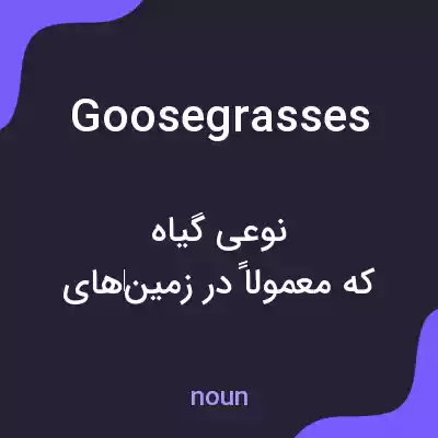 معنی goosegrasses به فارسی معنی goosegrasses به فارسی