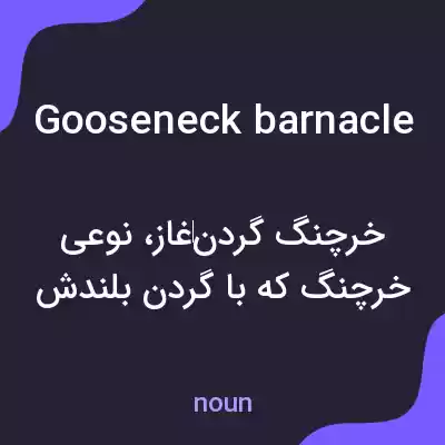 معنی gooseneck barnacle به فارسی معنی gooseneck barnacle به فارسی