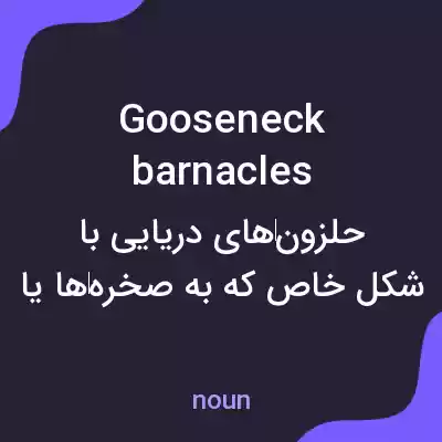 معنی gooseneck barnacles به فارسی معنی gooseneck barnacles به فارسی