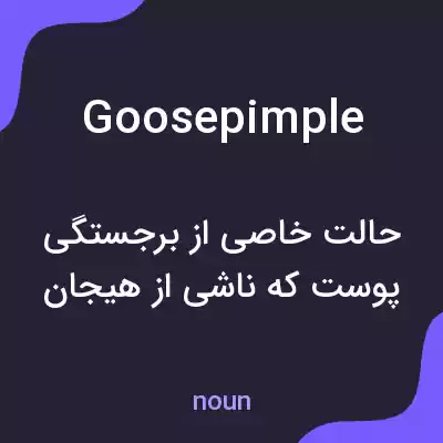 معنی goose pimple به فارسی معنی goose pimple به فارسی