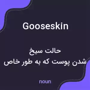 معنی gooseskin به فارسی معنی gooseskin به فارسی