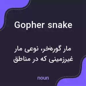 معنی gopher snake به فارسی معنی gopher snake به فارسی