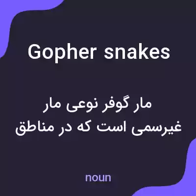 معنی gopher snakes به فارسی معنی gopher snakes به فارسی