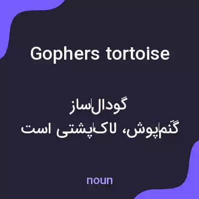 معنی gophers tortoise به فارسی معنی gophers tortoise به فارسی