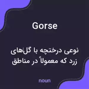 معنی gorse به فارسی معنی gorse به فارسی