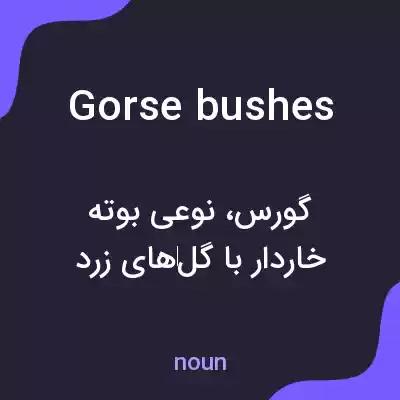 معنی gorse bushes به فارسی معنی gorse bushes به فارسی