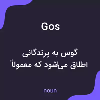 معنی gos به فارسی معنی gos به فارسی