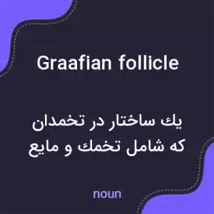 معنی graafian follicle به فارسی معنی graafian follicle به فارسی