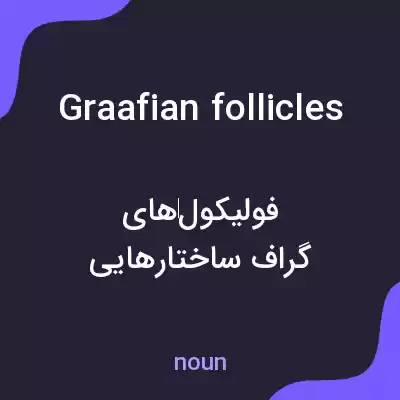 معنی graafian follicles به فارسی معنی graafian follicles به فارسی