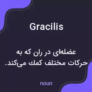 معنی gracilis به فارسی معنی gracilis به فارسی