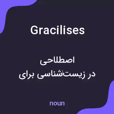 معنی gracilises به فارسی معنی gracilises به فارسی
