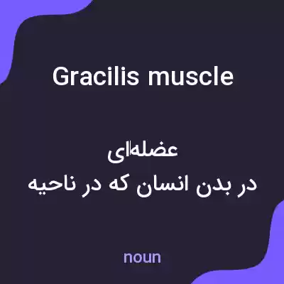 معنی gracilis muscle به فارسی معنی gracilis muscle به فارسی