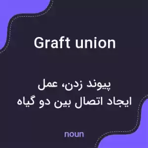 معنی graft union به فارسی معنی graft union به فارسی