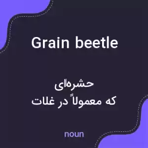 معنی grain beetle به فارسی معنی grain beetle به فارسی