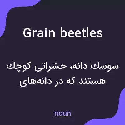 معنی grain beetles به فارسی معنی grain beetles به فارسی