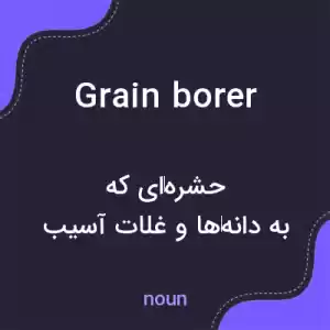 معنی grain borer به فارسی معنی grain borer به فارسی