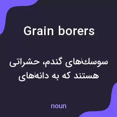 معنی grain borers به فارسی معنی grain borers به فارسی