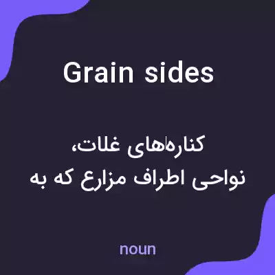 معنی grain sides به فارسی معنی grain sides به فارسی