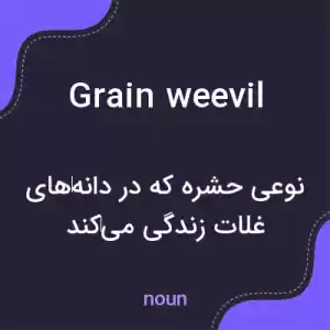 معنی grain weevil به فارسی معنی grain weevil به فارسی