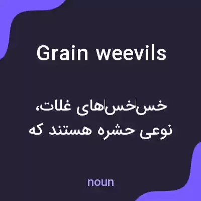 معنی grain weevils به فارسی معنی grain weevils به فارسی