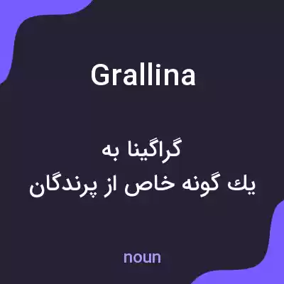 معنی grallina به فارسی معنی grallina به فارسی