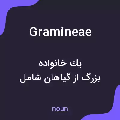 معنی gramineae به فارسی