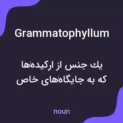 معنی grammatophyllum به فارسی معنی grammatophyllum به فارسی
