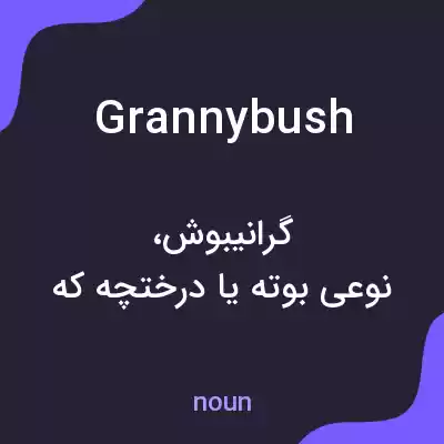 معنی grannybush به فارسی معنی grannybush به فارسی