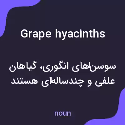 معنی grape hyacinths به فارسی معنی grape hyacinths به فارسی