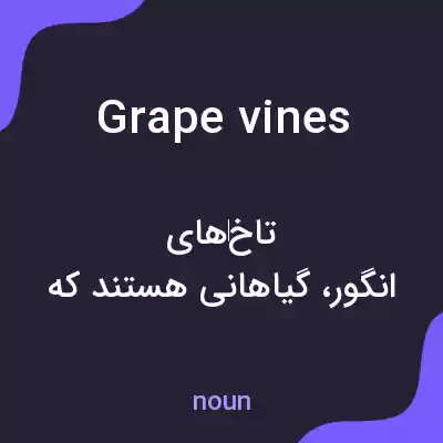 معنی grape vines به فارسی معنی grape vines به فارسی