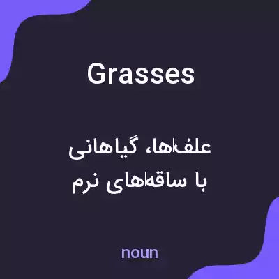 معنی grasses به فارسی معنی grasses به فارسی