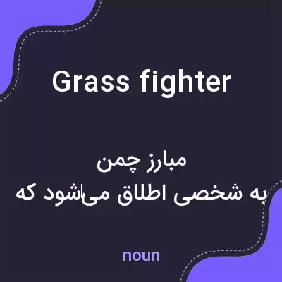 معنی grass fighter به فارسی معنی grass fighter به فارسی