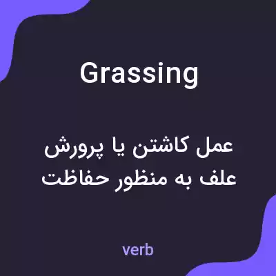 معنی grassing به فارسی معنی grassing به فارسی