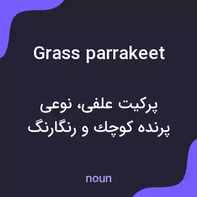 معنی grass parrakeet به فارسی