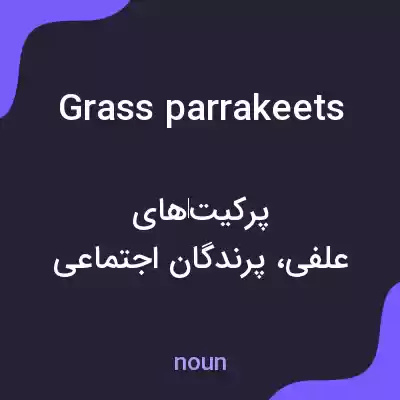 معنی grass parrakeets به فارسی معنی grass parrakeets به فارسی