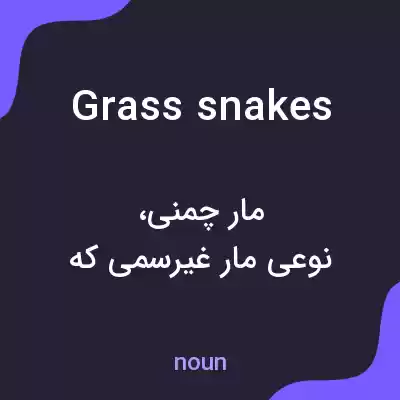 معنی grass snakes به فارسی معنی grass snakes به فارسی