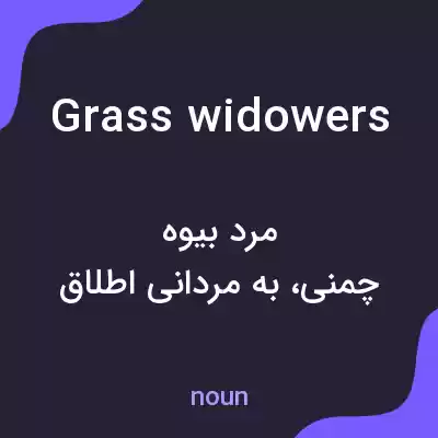 معنی grass widowers به فارسی معنی grass widowers به فارسی