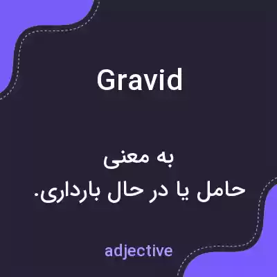 معنی gravid به فارسی معنی gravid به فارسی
