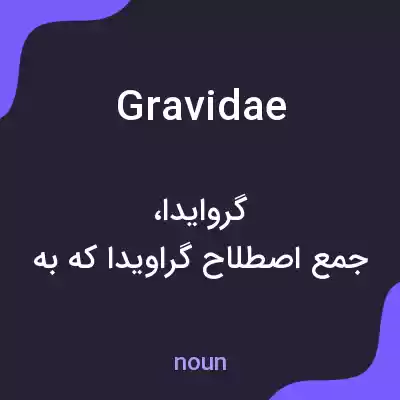 معنی gravidae به فارسی معنی gravidae به فارسی