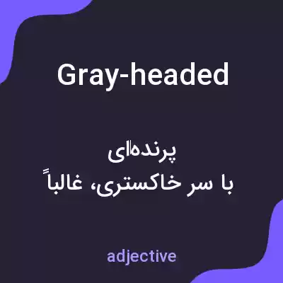 معنی gray-headed به فارسی معنی gray-headed به فارسی