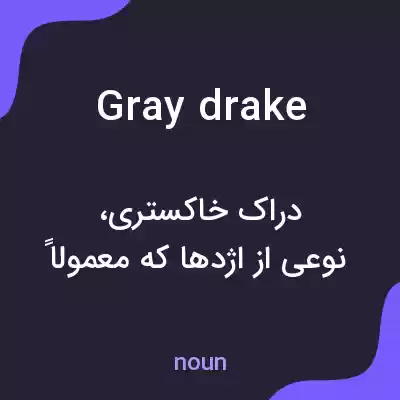 معنی gray drake به فارسی معنی gray drake به فارسی