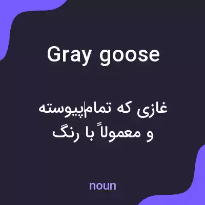 معنی gray goose به فارسی