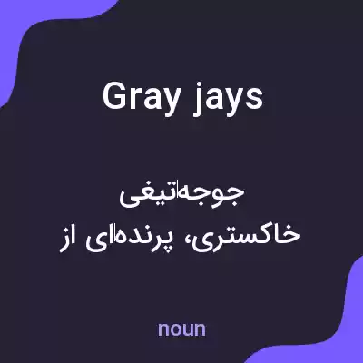 معنی gray jays به فارسی معنی gray jays به فارسی