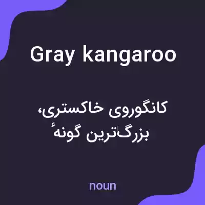 معنی gray kangaroo به فارسی معنی gray kangaroo به فارسی