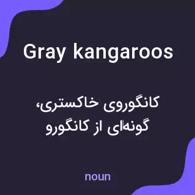 معنی gray kangaroos به فارسی معنی gray kangaroos به فارسی