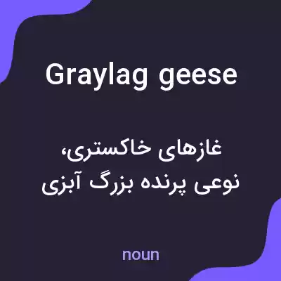 معنی graylag geese به فارسی معنی graylag geese به فارسی