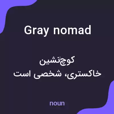 معنی gray nomad به فارسی معنی gray nomad به فارسی