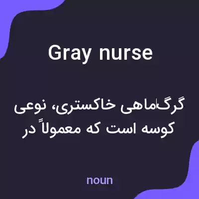 معنی gray nurse به فارسی معنی gray nurse به فارسی
