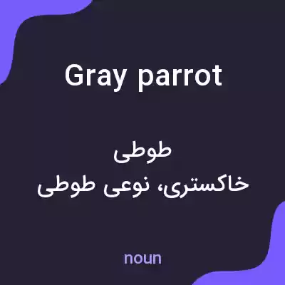 معنی gray parrot به فارسی