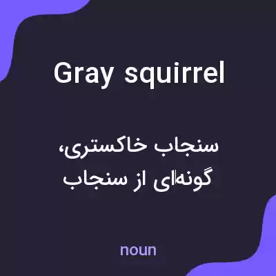 معنی gray squirrel به فارسی معنی gray squirrel به فارسی
